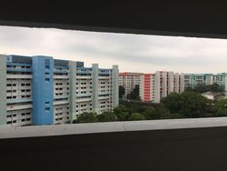 Blk 161 Tampines Street 12 (Tampines), HDB 4 Rooms #179272862